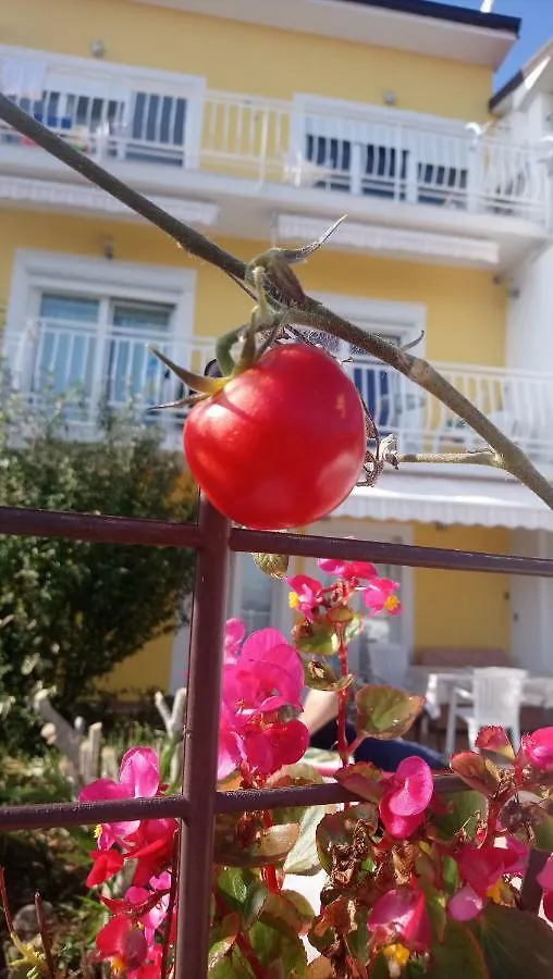 Apartments Bonavista Opatija 0*,